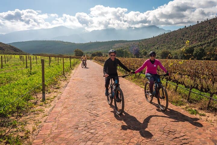 Franschhoek E‑Bike Wine Tour: Cycle Between Vineyards with Lunch