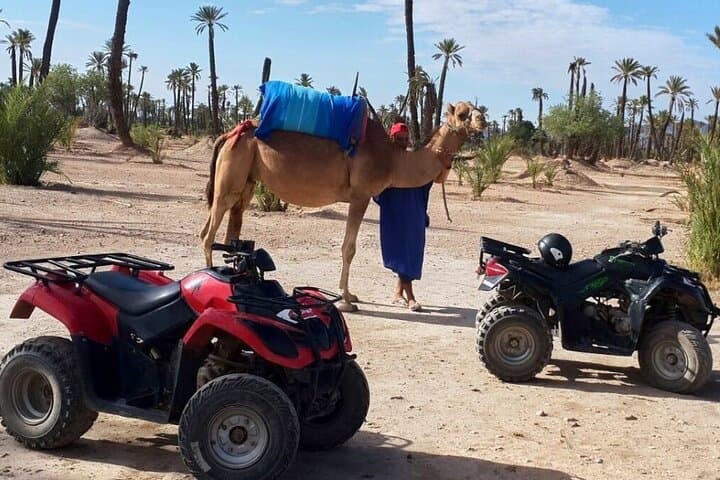 Quad Biking the Palmeraie: 2-Hour ATV Adventure in Marrakech's Palm Grove photo 2