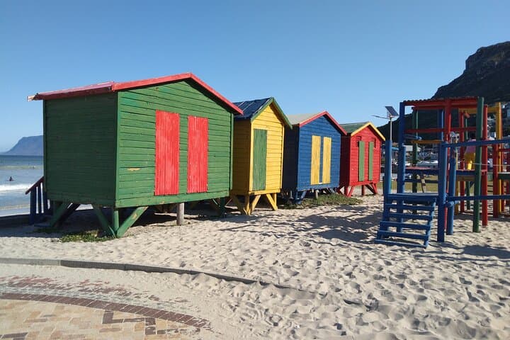 Cape Town Private Sightseeing Day Tour: Table Mountain, Penguins & Cape Point photo 4