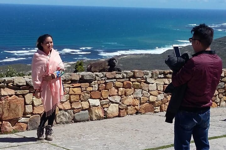 Cape Town Private Sightseeing Day Tour: Table Mountain, Penguins & Cape Point photo 5
