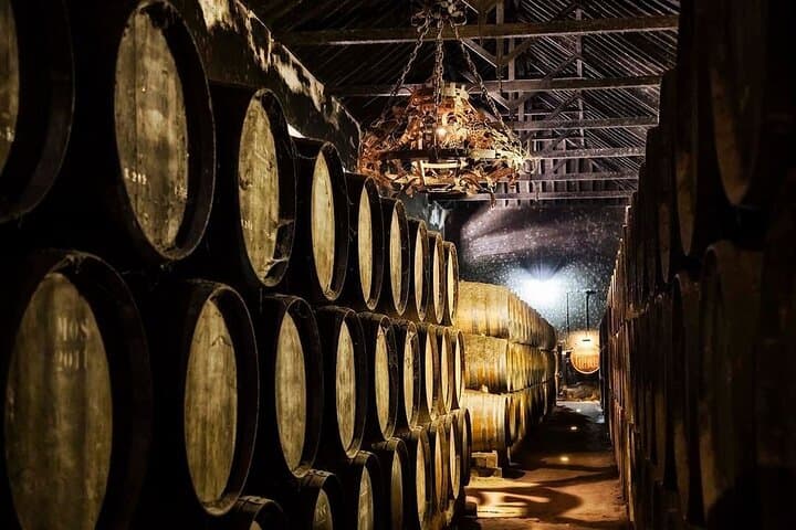 Azeitão Olive, Moscatel & Torta Tour — Moscatel Route from Lisbon photo 4