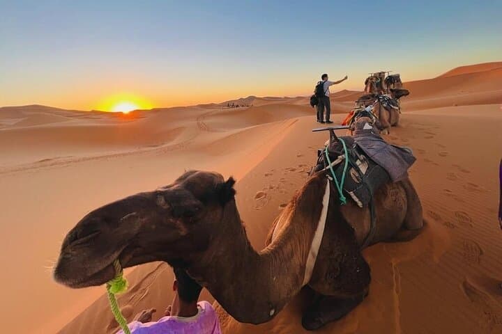 3-Day Fes to Marrakech via Erg Chebbi: Sahara Camel Trek, Atlas Pass & Kasbahs