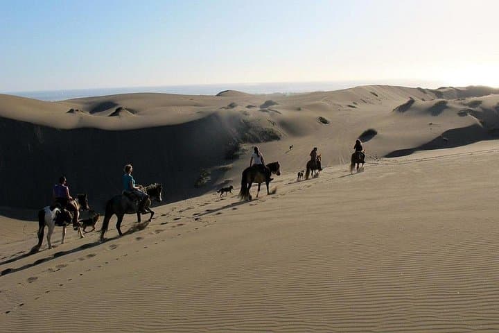Valparaíso to Ritoque: Winery Tour, Dunes Horse Ride & BBQ from Santiago photo 1