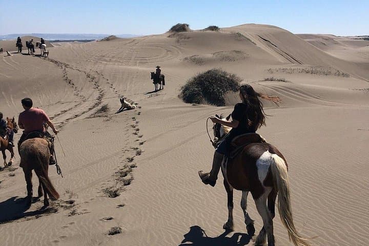 Valparaíso to Ritoque: Winery Tour, Dunes Horse Ride & BBQ from Santiago photo 2