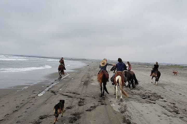 Valparaíso to Ritoque: Winery Tour, Dunes Horse Ride & BBQ from Santiago photo 4