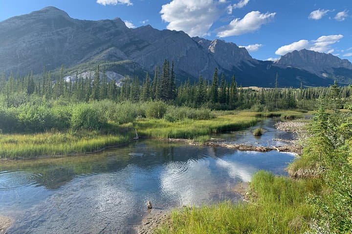 Kananaskis Safari Drive and Guided Nature Walk — Private 4-Hour Wildlife Tour photo 2
