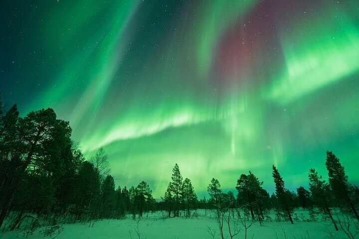 Chasing the Aurora: Tromsø Northern Lights Hunt with Photos & Bonfire photo 2