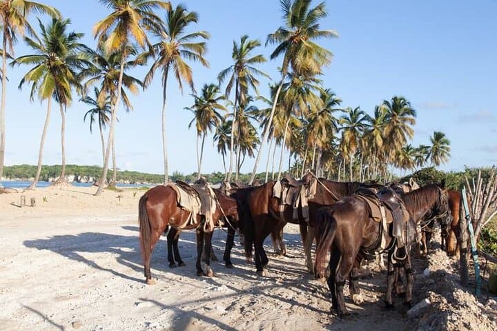 Sunset Horseback Riding Tour in Punta Cana: Beaches & Countryside