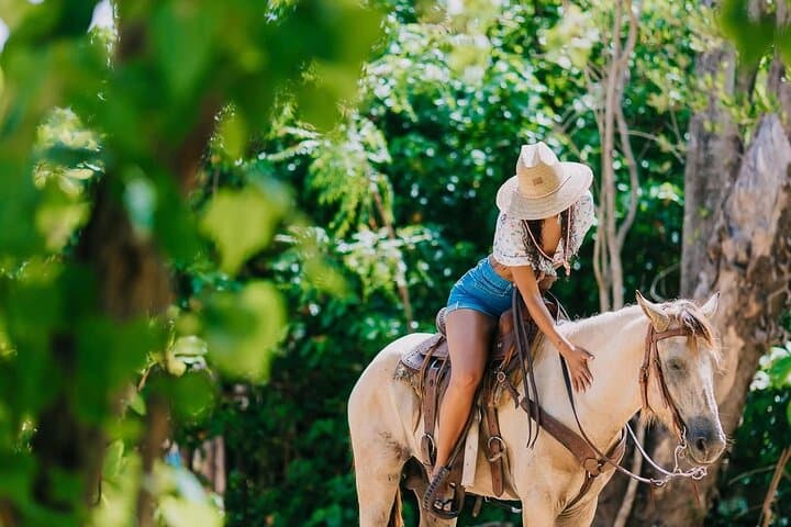Sunset Horseback Riding Tour in Punta Cana: Beaches & Countryside photo 2