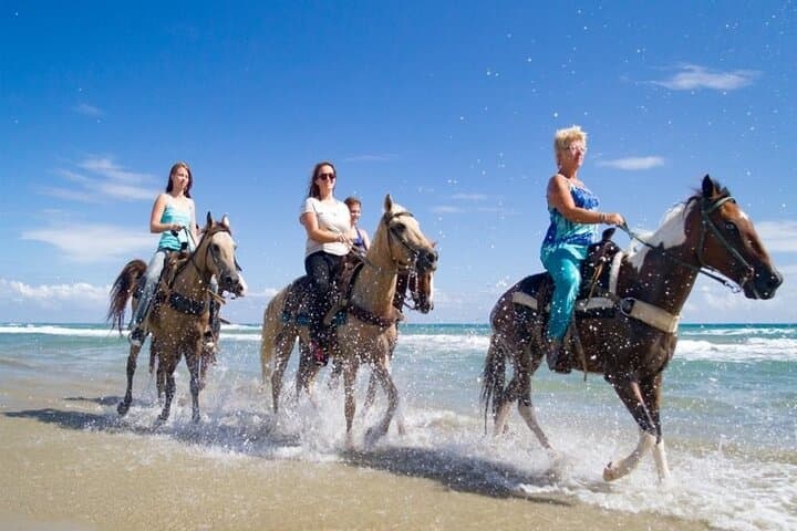 Sunset Horseback Riding Tour in Punta Cana: Beaches & Countryside photo 5