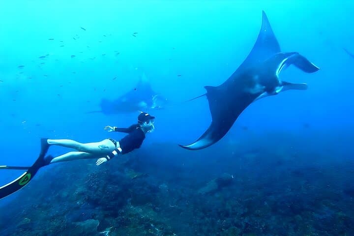 Nusa Penida Snorkeling & Coastal Sights Day Trip from Bali