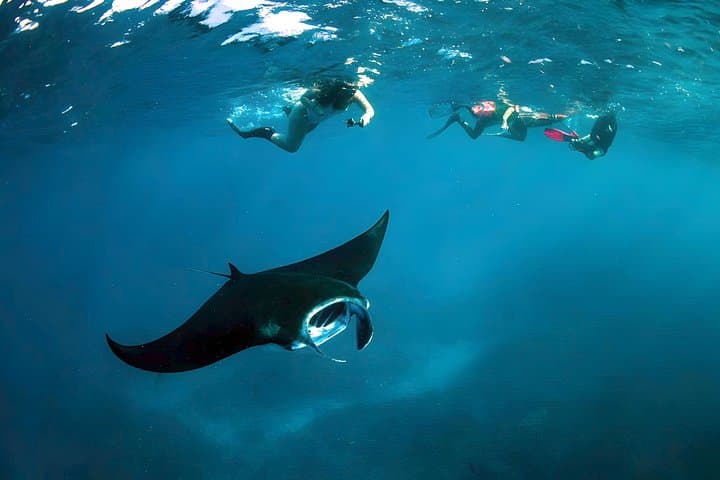 Nusa Penida Snorkeling & Coastal Sights Day Trip from Bali photo 3