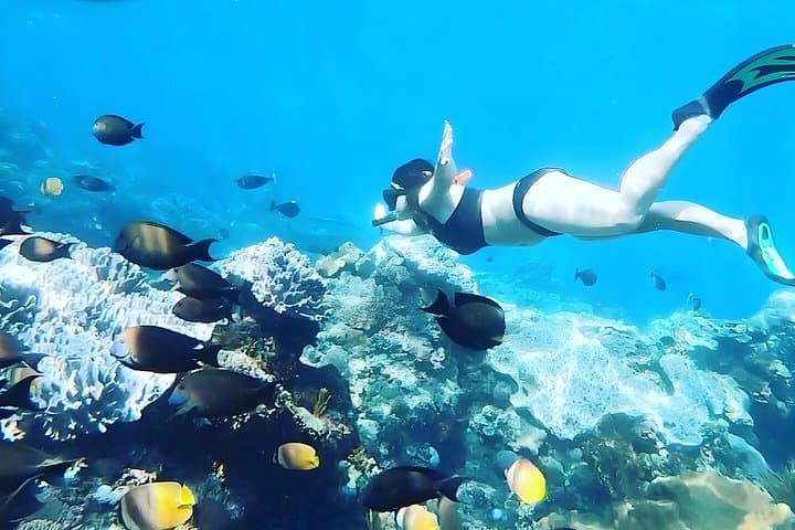 Nusa Penida Snorkeling & Coastal Sights Day Trip from Bali photo 5