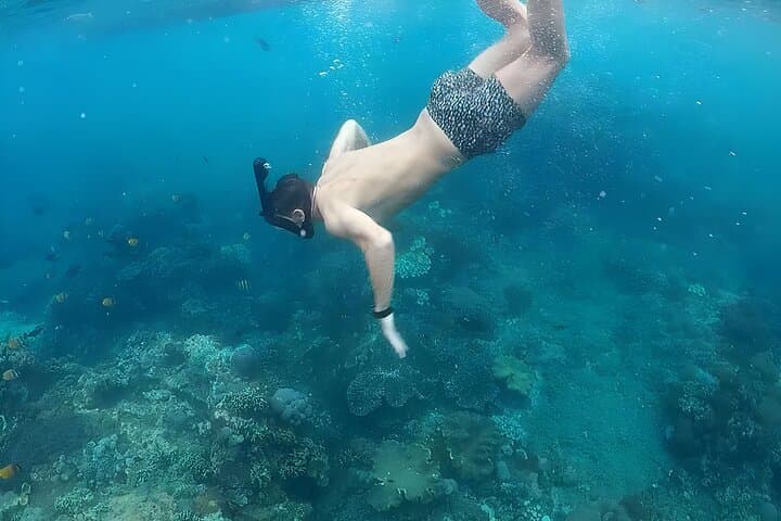 Snorkel Nusa Penida: Mantas, Turtles & Atuh Beach Day Trip from Bali photo 6