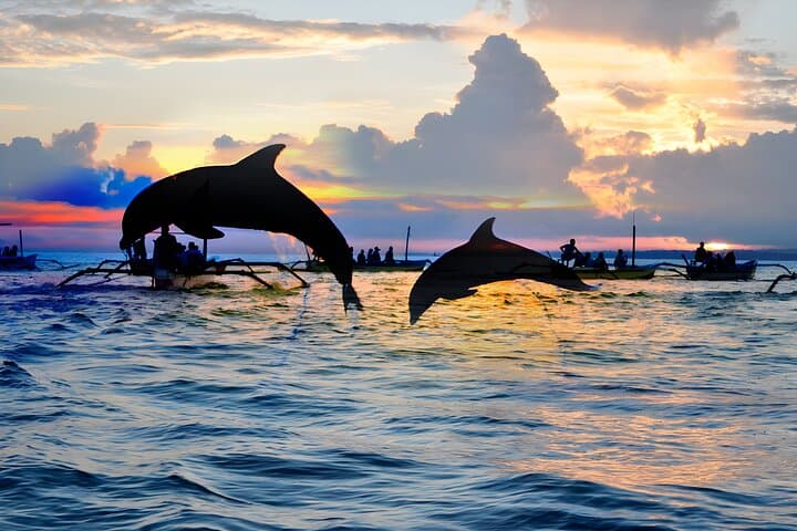 Sunrise Dolphin Watching in Lovina Beach — Day Tour to Gitgit, Bedugul & Ulun Danu photo 6