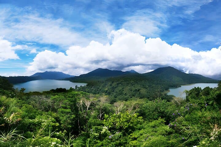 Sunrise Dolphin Watching in Lovina Beach — Day Tour to Gitgit, Bedugul & Ulun Danu photo 4