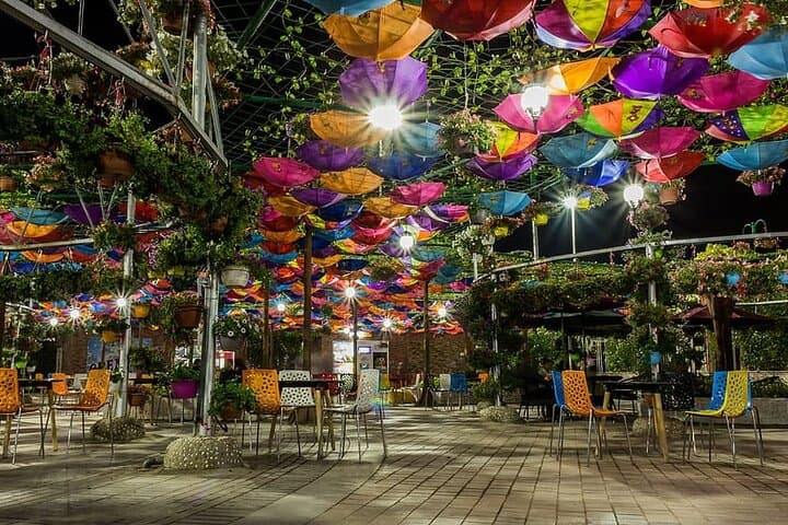 Dubai Miracle Garden and The View at The Palm: Guided Tour with Transfer photo 3