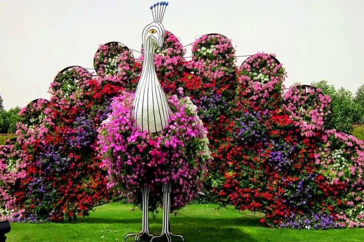 Dubai Miracle Garden and The View at The Palm: Guided Tour with Transfer photo 4