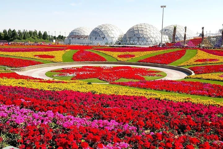 Dubai Miracle Garden and The View at The Palm: Guided Tour with Transfer photo 5
