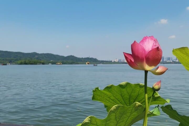 Half-Day Hangzhou: Lingyin Temple & West Lake Private Tour photo 3