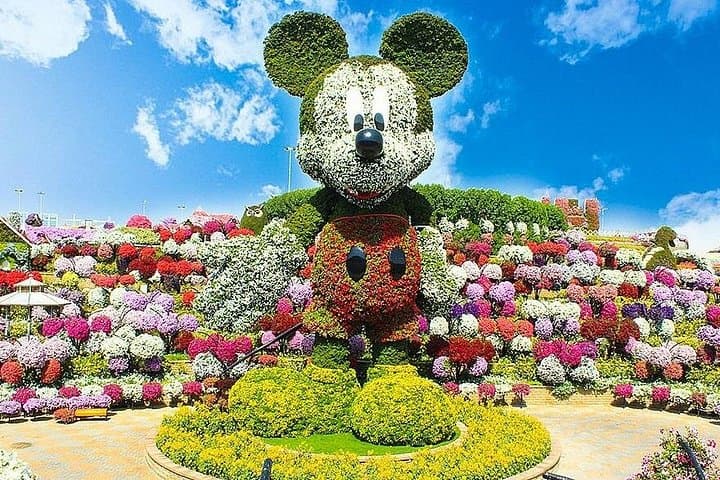 Day Trip to Dubai Miracle Garden from Abu Dhabi: Private Transfers & Entry Included photo 3