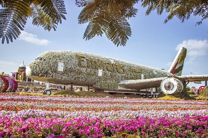 Dubai Miracle Garden & Ski Dubai: Desert Blooms and Indoor Snow in One Day photo 4