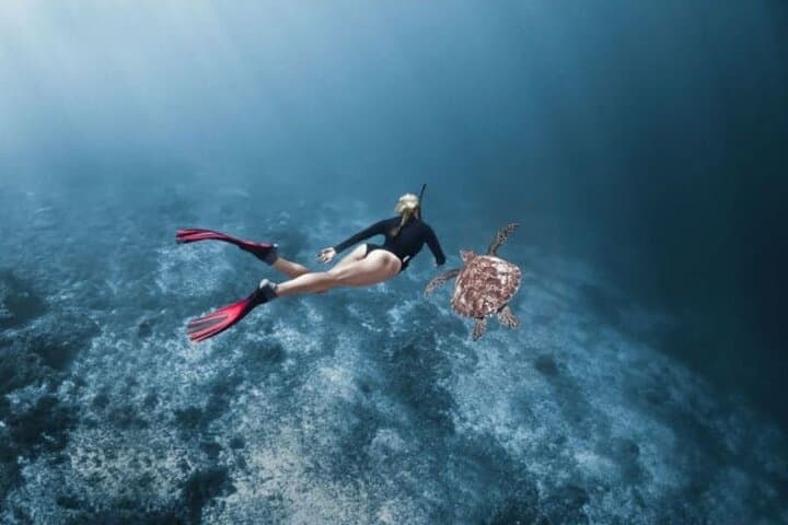 PADI Skin Diver One-Day Snorkeling Program in Sihanoukville: Learn, Explore, Repeat photo 3