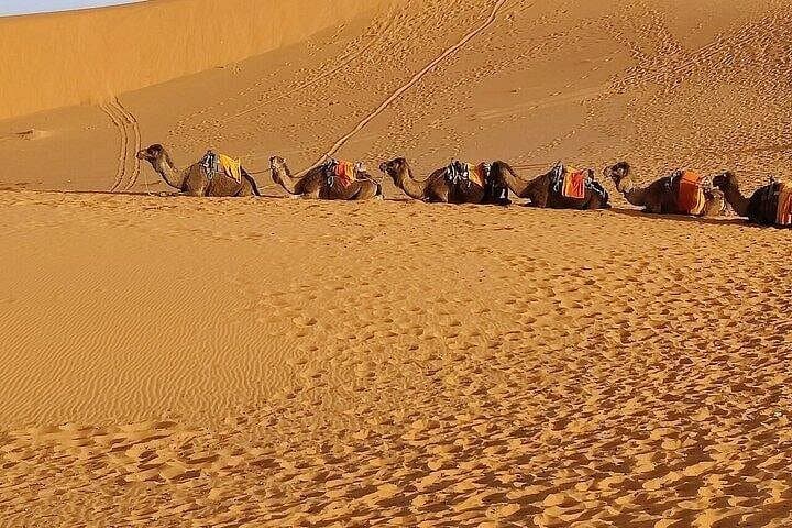 Fes to Marrakech: 5-Day Merzouga Desert Tour with Camel Ride and Atlas Pass photo 3