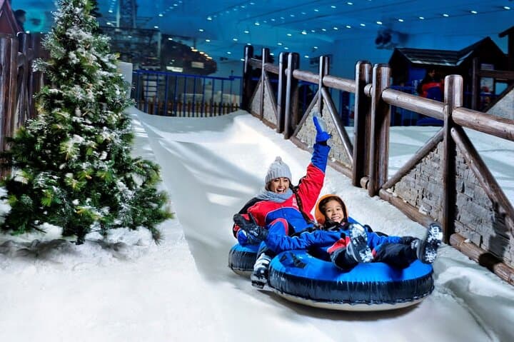 Dubai Miracle Garden & Ski Dubai: Desert Blooms and Indoor Snow in One Day photo 2