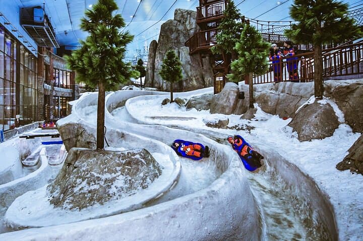 Dubai Miracle Garden & Ski Dubai: Desert Blooms and Indoor Snow in One Day photo 1