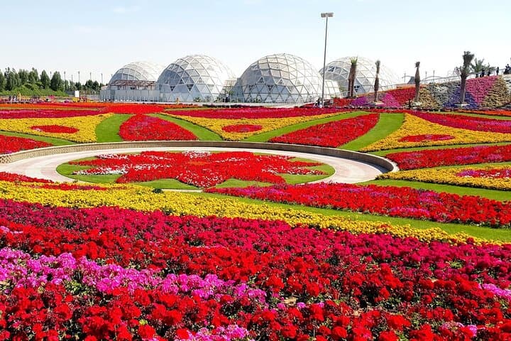 Dubai Miracle Garden & Ski Dubai: Desert Blooms and Indoor Snow in One Day photo 3
