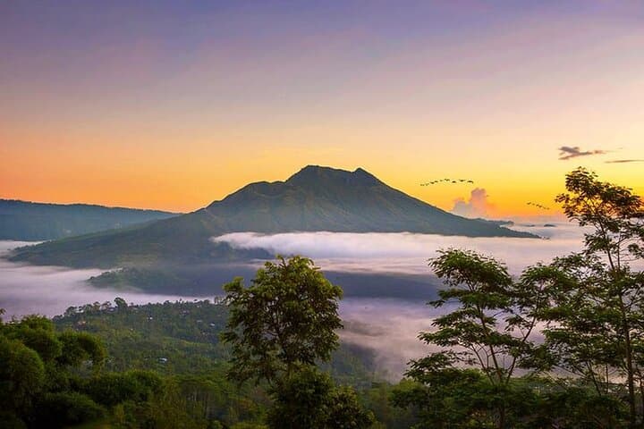 Ubud to Kintamani Batur Volcano Private Tour: Monkey Forest, Rice Terraces & Tirta Empul