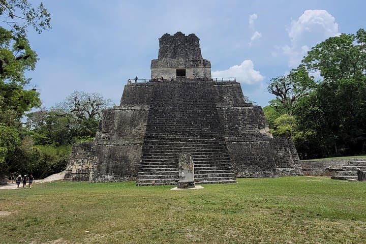 Tikal VIP Private Tour from Flores — Full-Day Guided Visit to the Mayan Ruins photo 3