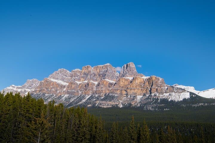 Full-Day Canadian Rockies Tour: Lake Louise, Peyto & Moraine Lake photo 5