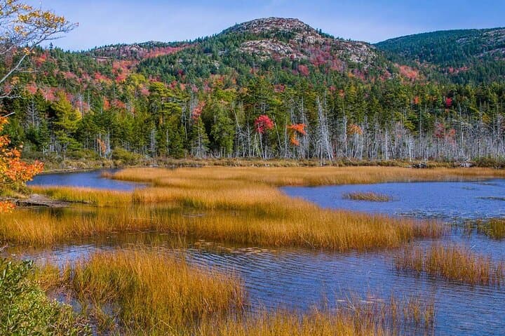Exploring Mount Desert Island’s Coastal Charms: A 3-Hour Private Tour photo 5