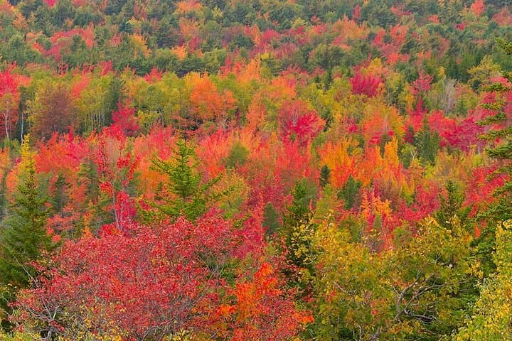Exploring Mount Desert Island’s Coastal Charms: A 3-Hour Private Tour photo 4