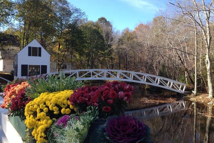 Exploring Mount Desert Island’s Coastal Charms: A 3-Hour Private Tour photo 3