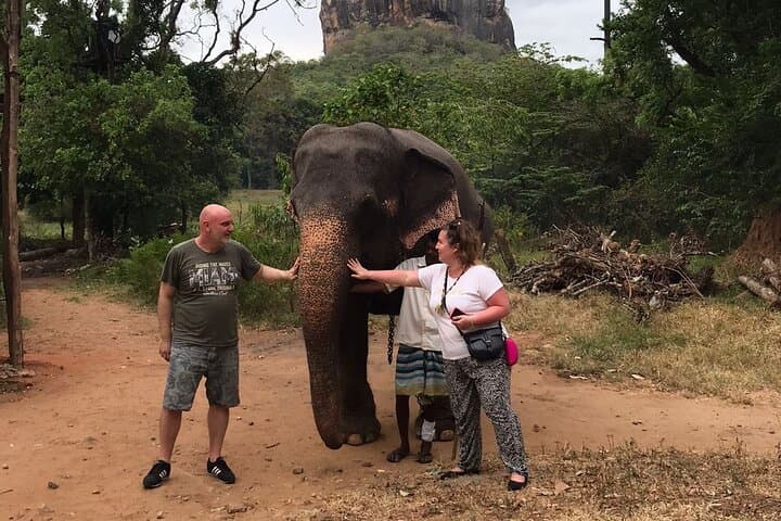 8-Day Private Guided Tour Sri Lanka — Sigiriya, Kandy, Ella, Yala & Mirissa