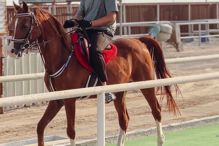 Doha Desert Horse & Camel Ride — Sunrise and Sunset Arabian Experience photo 2
