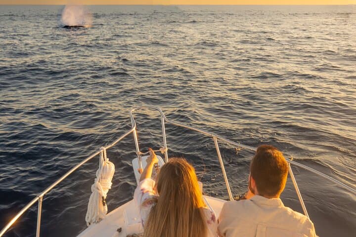 Cabo San Lucas Adult-Only Romantic Sunset Cruise — Luxury Catamaran Dinner & Open Bar photo 3