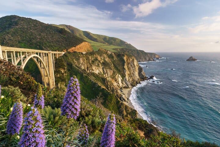 Half-Day Private Big Sur Driving Tour: Bixby Bridge to McWay Falls photo 4