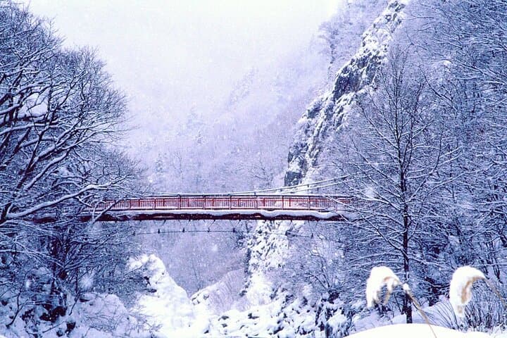 Full-Day Private Ski & Snowboard Tour from Sapporo with Onsen Visit photo 2