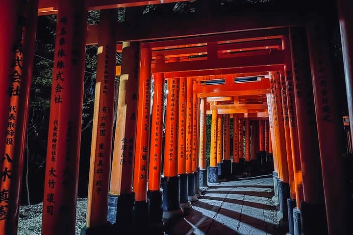 Private Kyoto Van Tour: Highlights & Hidden Nature Gems (English Guide)