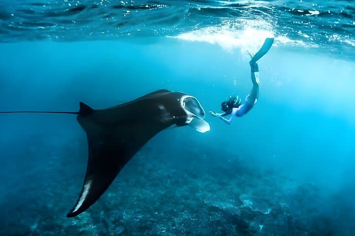 Snorkel Nusa Penida: Mantas, Turtles & Atuh Beach Day Trip from Bali photo 3