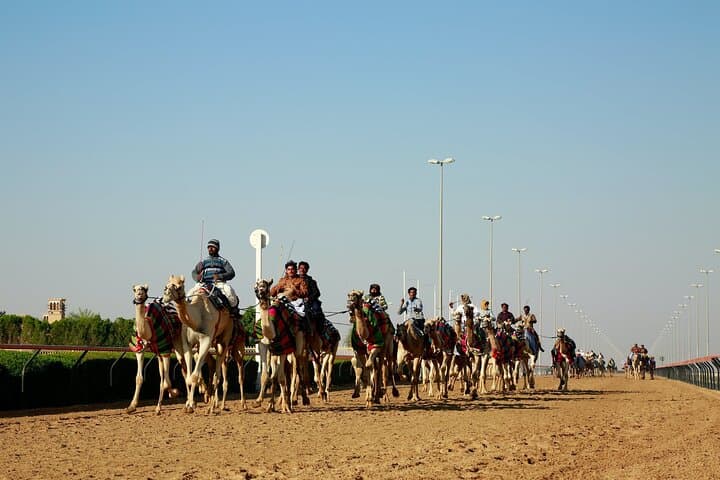 Doha Private Combo: 8-Hour City and West of Qatar Tour photo 5