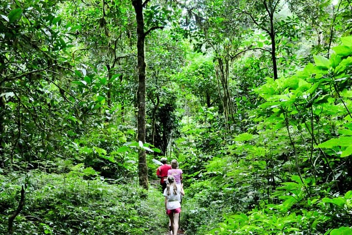Tamblingan Lake Jungle Trek: Bali Rainforest Trek & Traditional Canoe photo 2