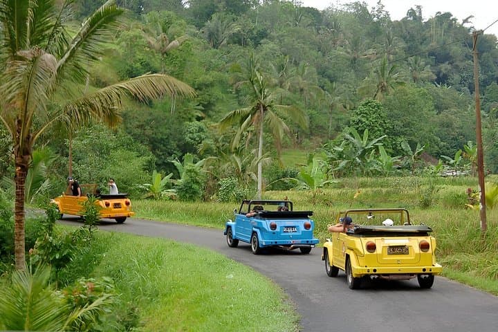 Cruise Ubud in a Classic VW: Tegenungan, Tegalalang & Monkey Forest Day Tour photo 1