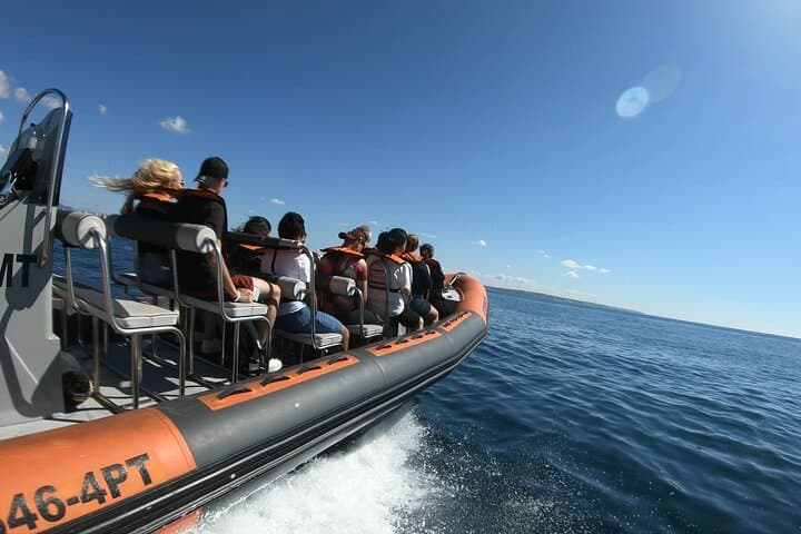 RIB to Benagil Caves: Algarve Boat Trip from Lagos photo 5