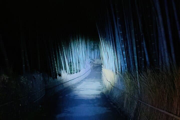 Night Walks in Arashiyama: Dark Tales and Bamboo Forest Alone photo 5