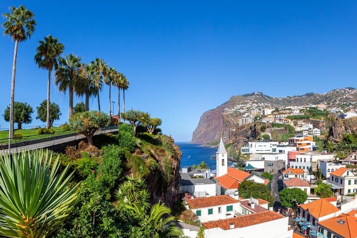 Madeira Coastal Highlights: Full-Day Private Shore Tour from Funchal